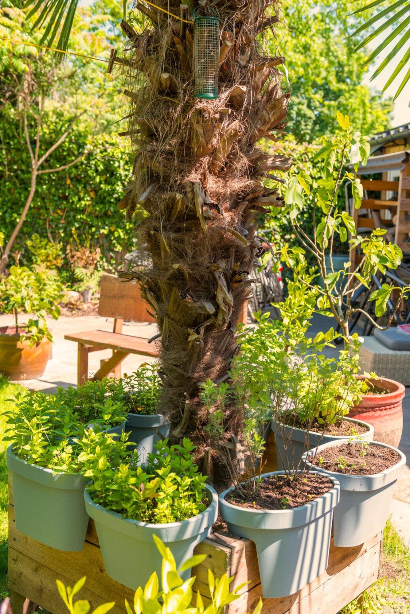 Tiny House - Leenfietsen, Eigen Keuken En Badkamer Nijmegen Exterior foto